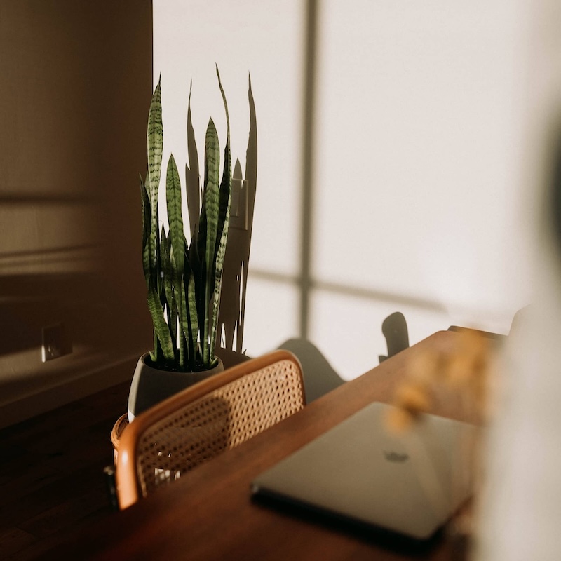 10 avantages du SEO local pour ton entreprise